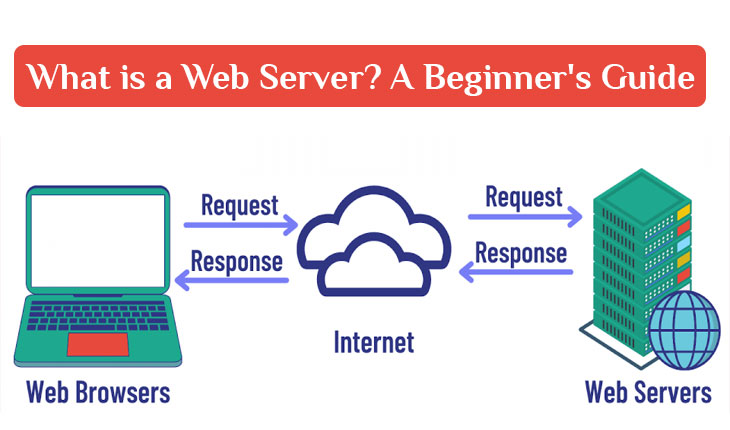 What is a Web Server? A Beginner's Guide